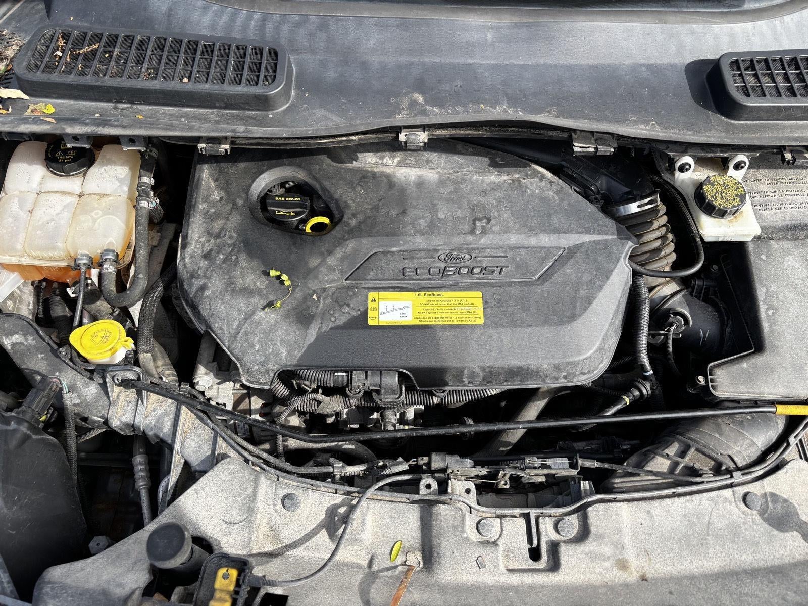 2014 Ford Escape SE
