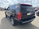 2010 Cadillac Escalade Luxury